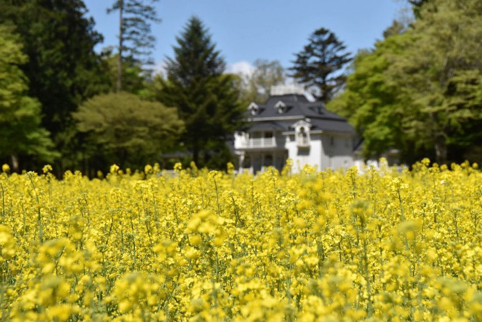 道の駅「明治の森・黒磯」